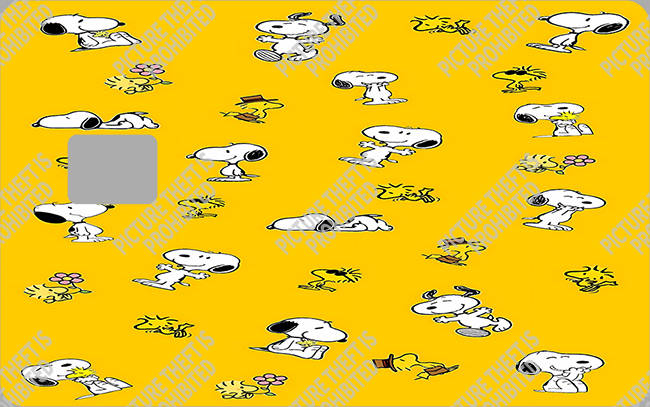 Bank  Card Sticker-BC-3975